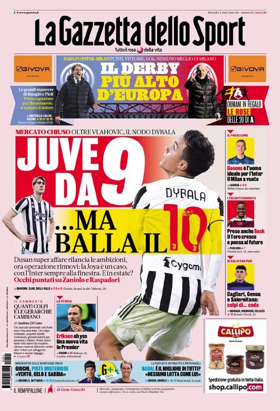 马来西亚羽 马来西亚羽